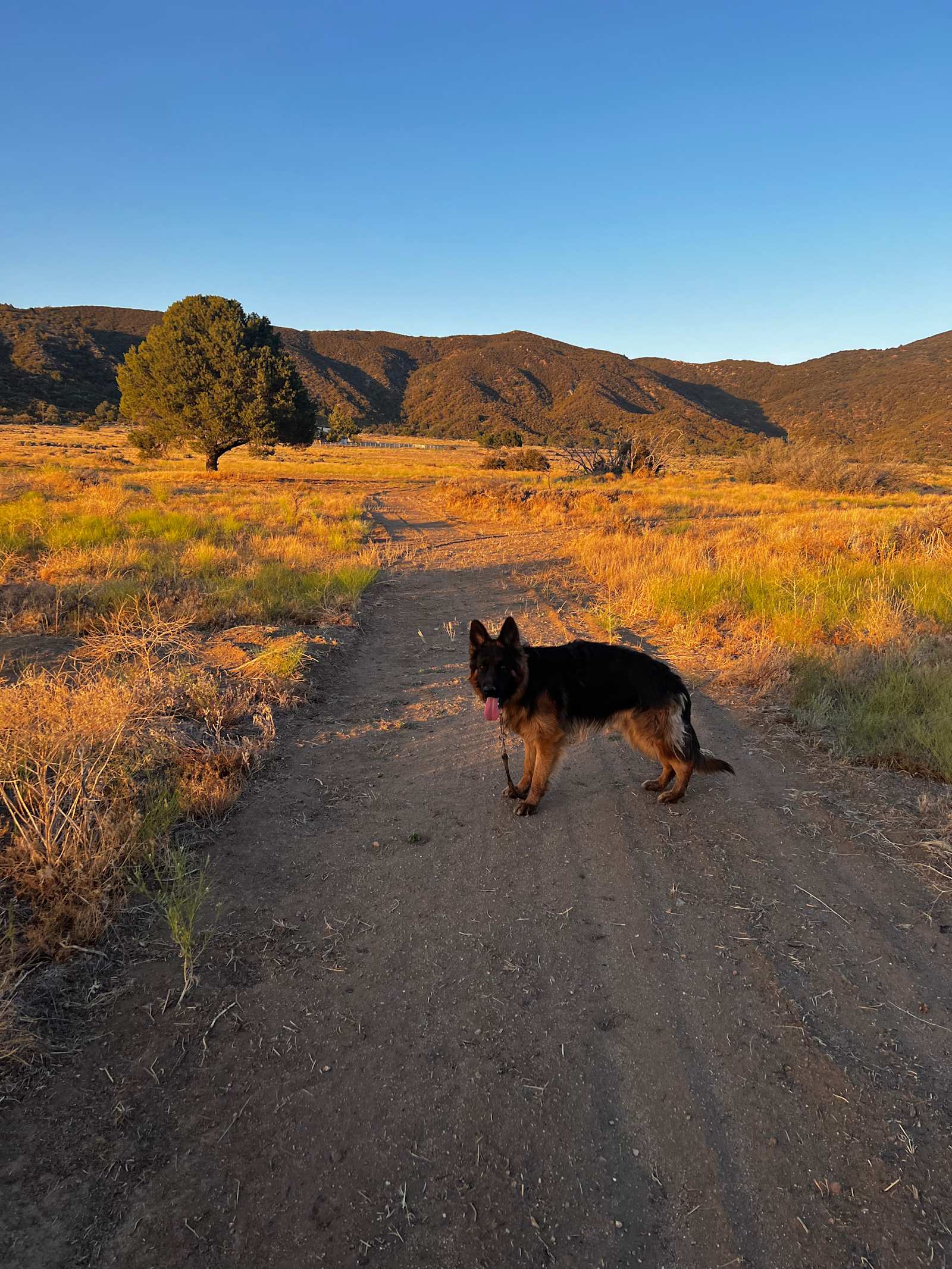 Bookshelf Winery and venue - Anza, California - glamping.directory