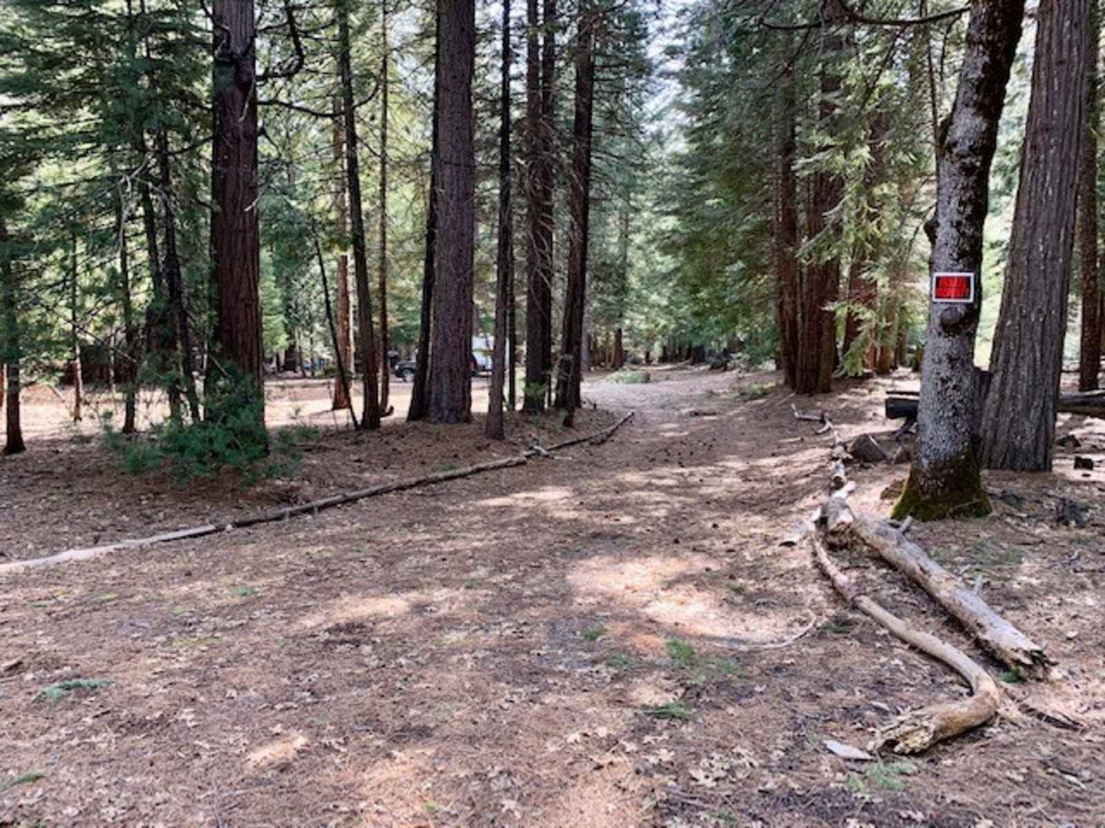Island Warriors Retreat - Shingletown, California - glamping.directory