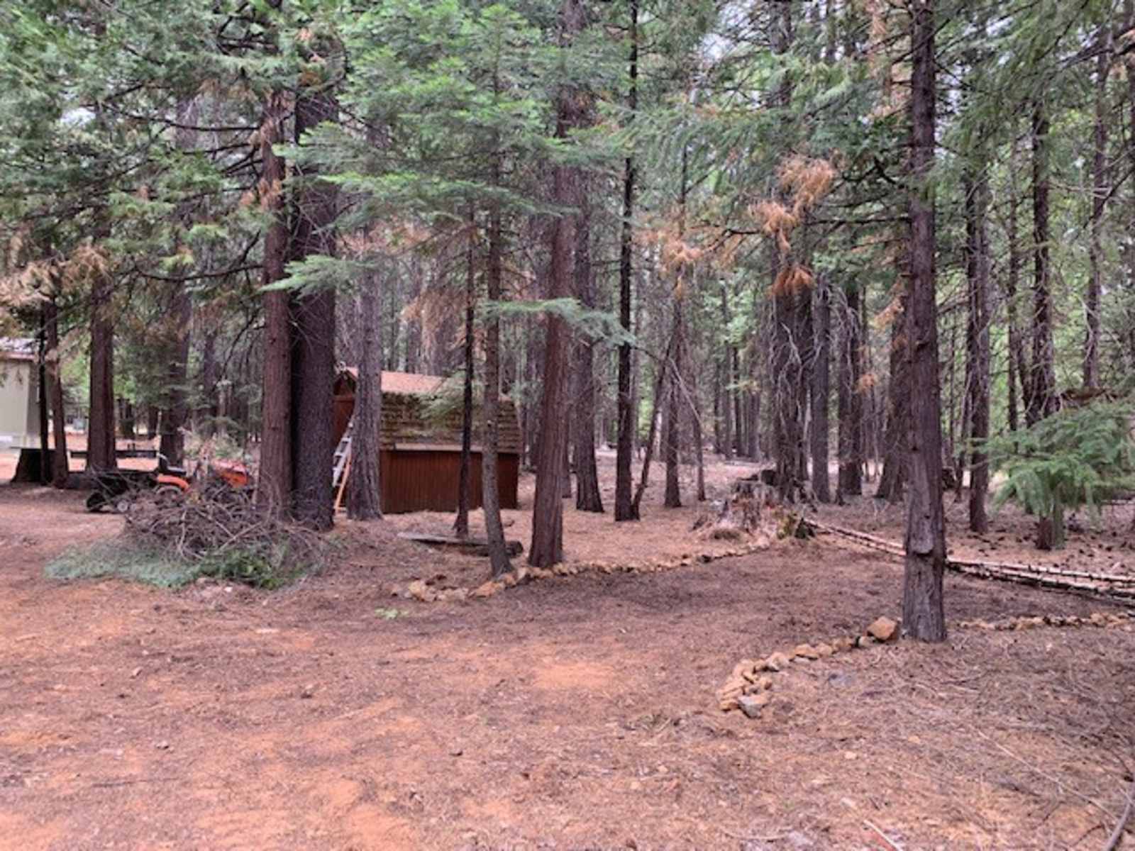 Island Warriors Retreat - Shingletown, California - glamping.directory