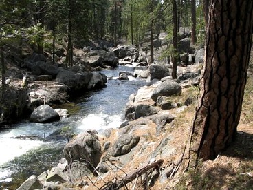Exceptional Riverside Cabin Rental in the Trees near Pinecrest Lake, California - Strawberry, California - glamping.directory