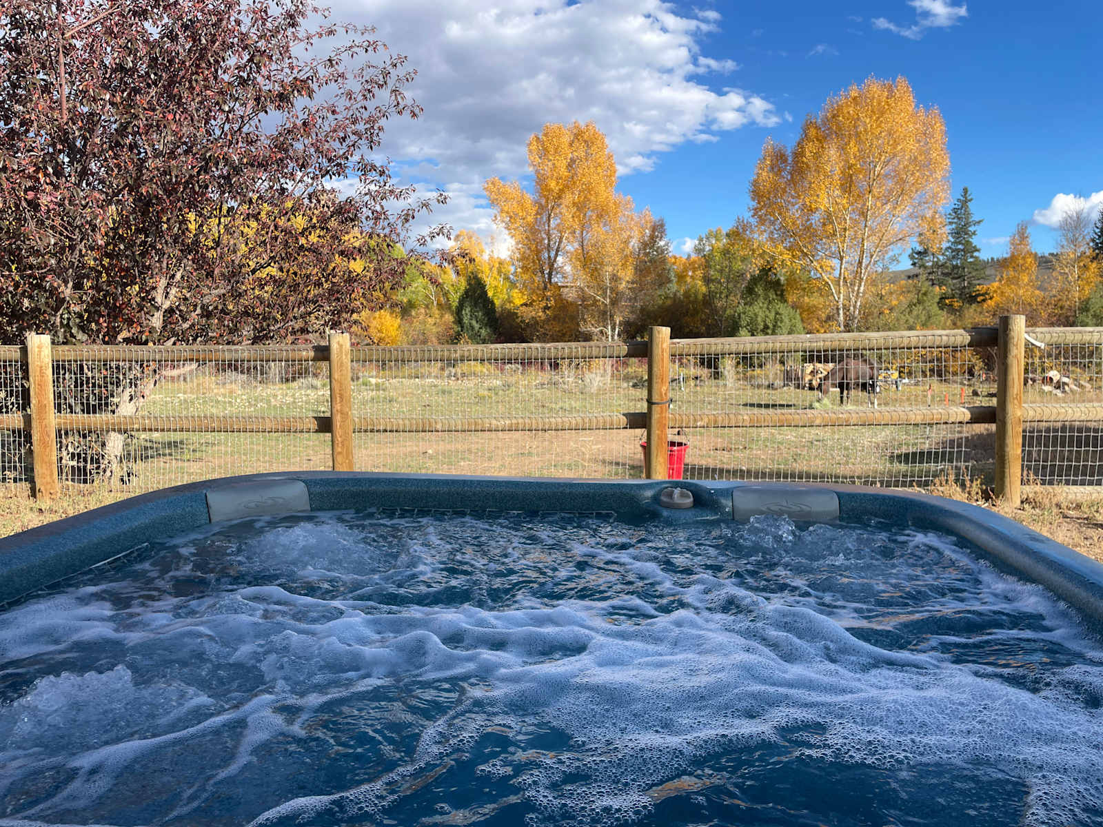 Gunnison Glamping @ Blue Bear Ranch - Gunnison, Colorado - glamping.directory