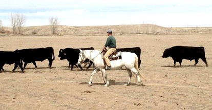 Dude Ranch Log Cabins Bordered by Shoshone National Forest, Wyoming - Dubois, Wyoming - glamping.directory