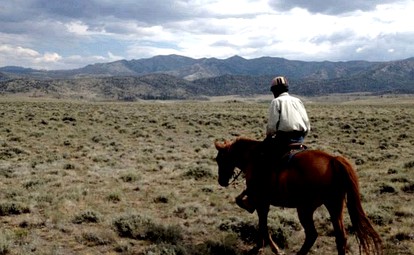 Dude Ranch Log Cabins Bordered by Shoshone National Forest, Wyoming - Dubois, Wyoming - glamping.directory