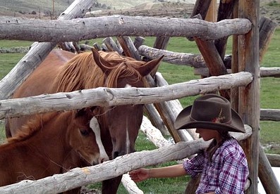 Dude Ranch Log Cabins Bordered by Shoshone National Forest, Wyoming - Dubois, Wyoming - glamping.directory