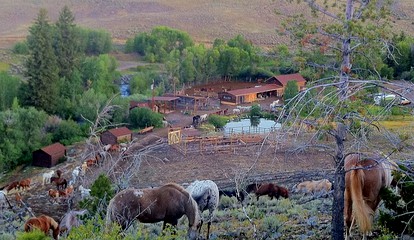 Dude Ranch Log Cabins Bordered by Shoshone National Forest, Wyoming - Dubois, Wyoming - glamping.directory