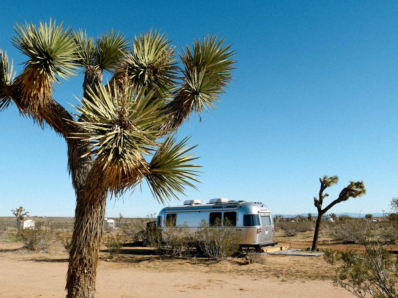 Camp Squish Airstream - Joshua Tree - glamping.directory