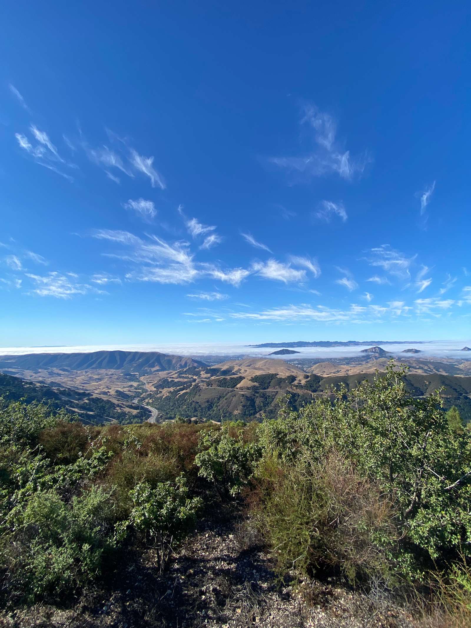 Mt Rancho (FKA La Montaña Ranch) - glamping.directory