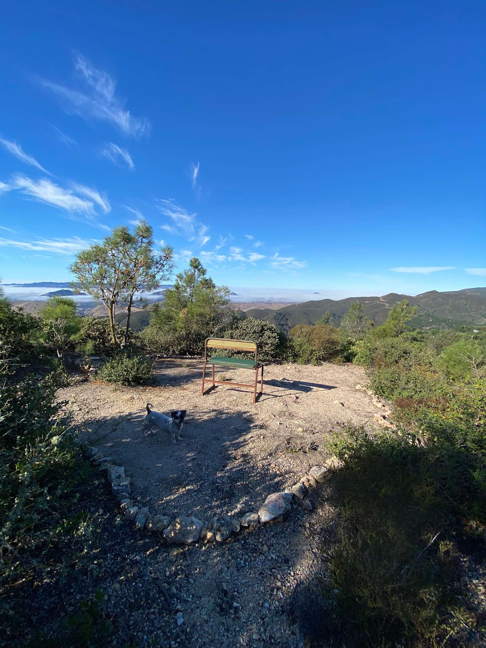 Mt Rancho (FKA La Montaña Ranch) - Santa Margarita, California - glamping.directory