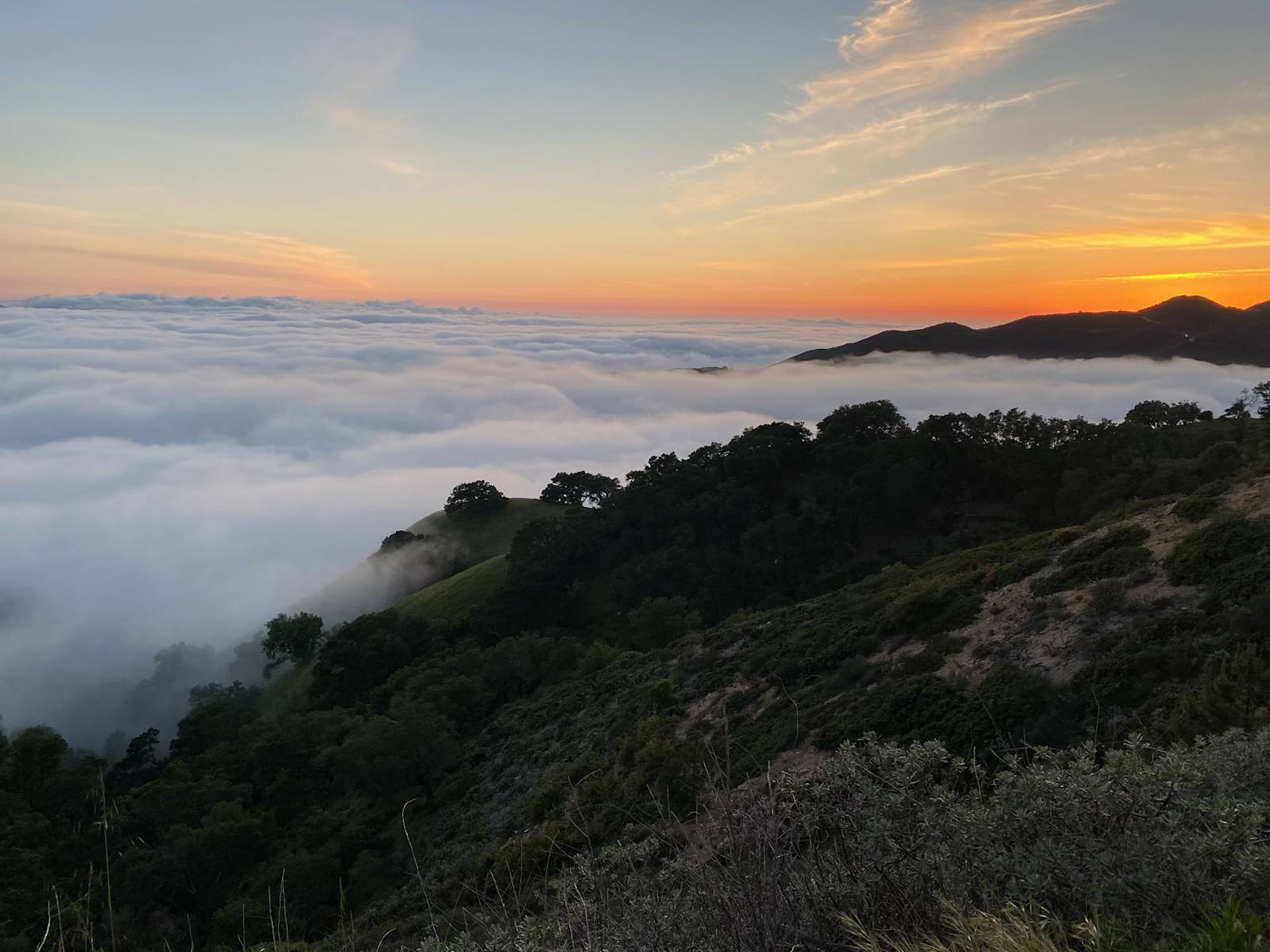 Mt Rancho (FKA La Montaña Ranch) - Santa Margarita, California - glamping.directory