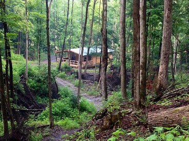 Rustic Creekside Cabin on 100-Acre Forest near Letchworth Park, New York - Dalton, New York - glamping.directory