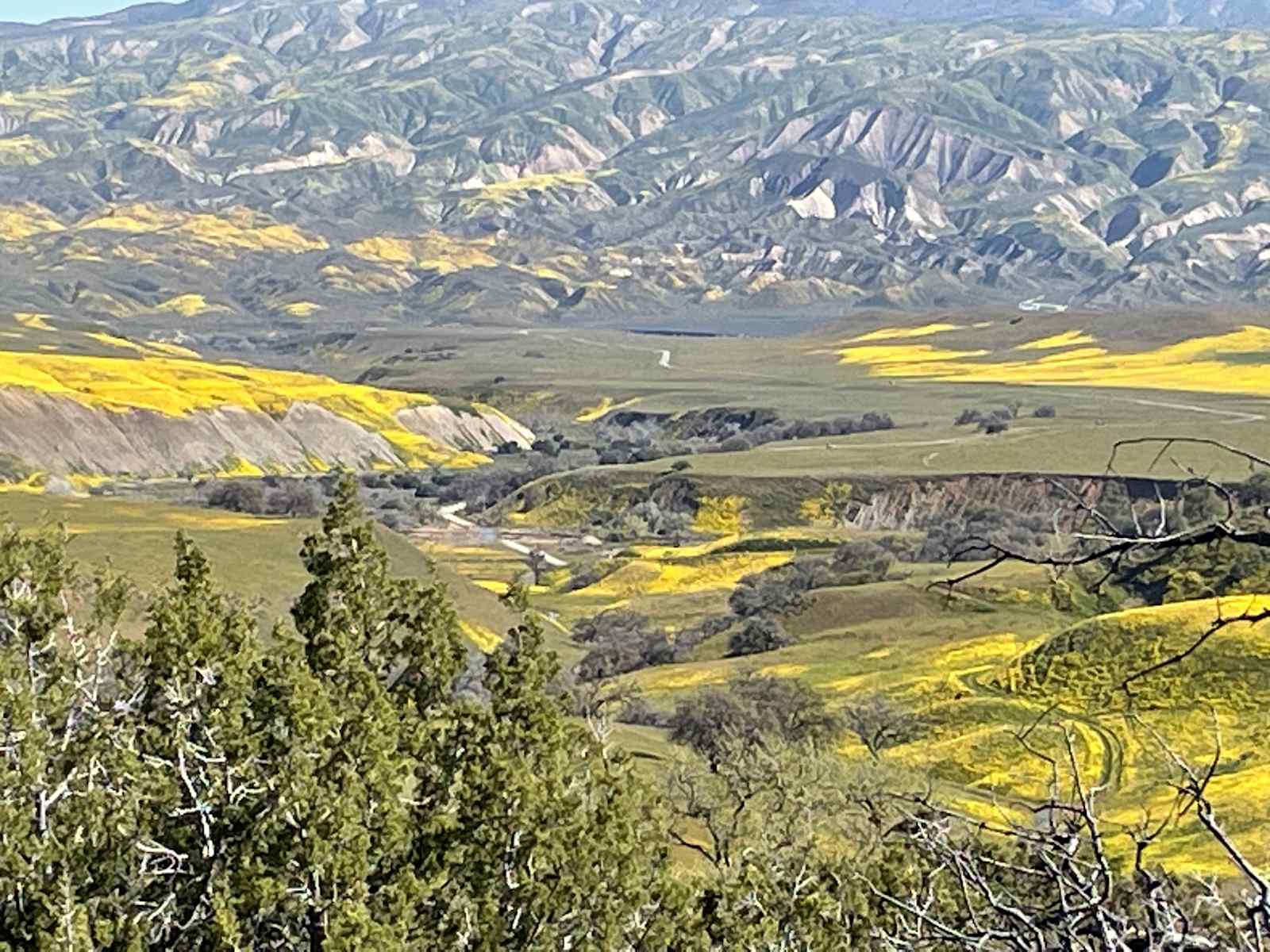 -G Ranch - New Cuyama, California - glamping.directory