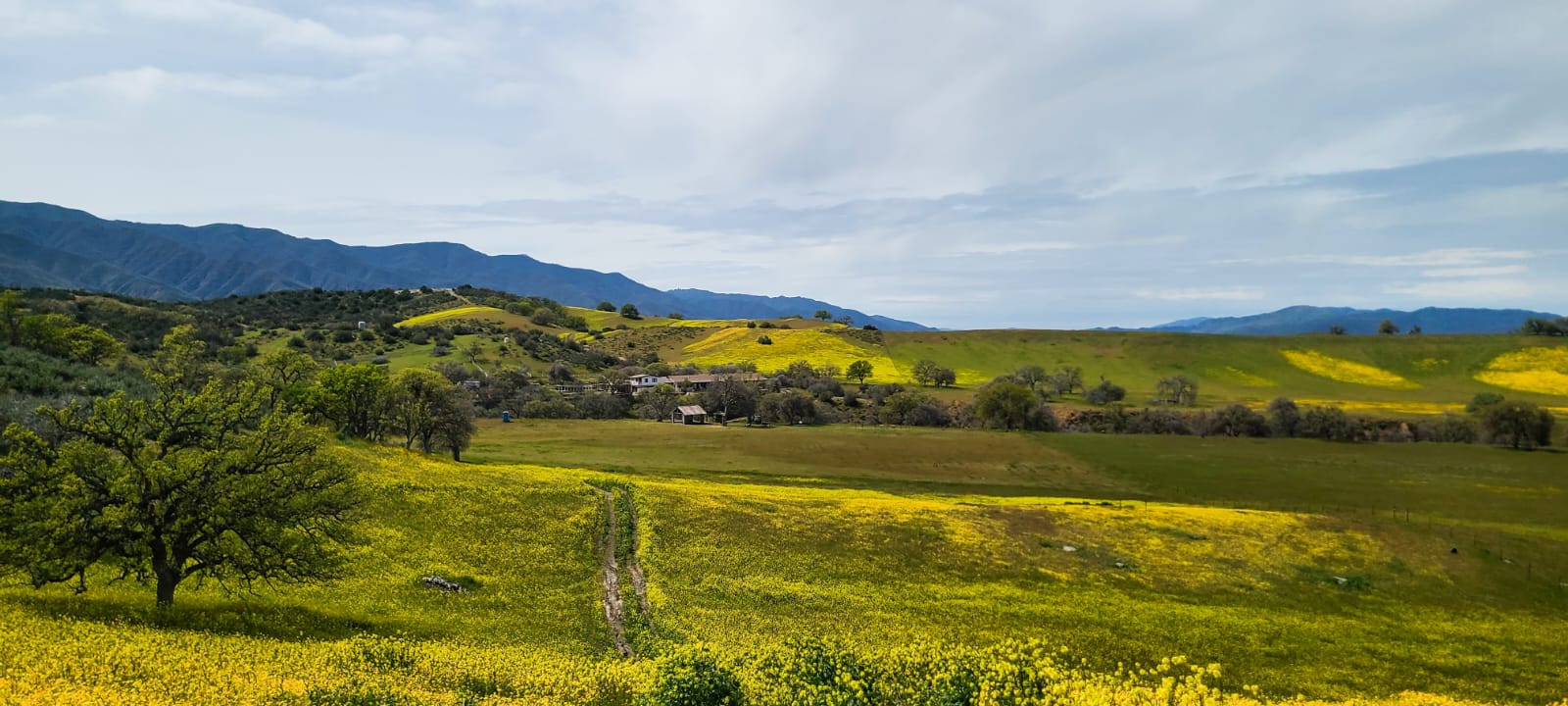 -G Ranch - New Cuyama, California - glamping.directory