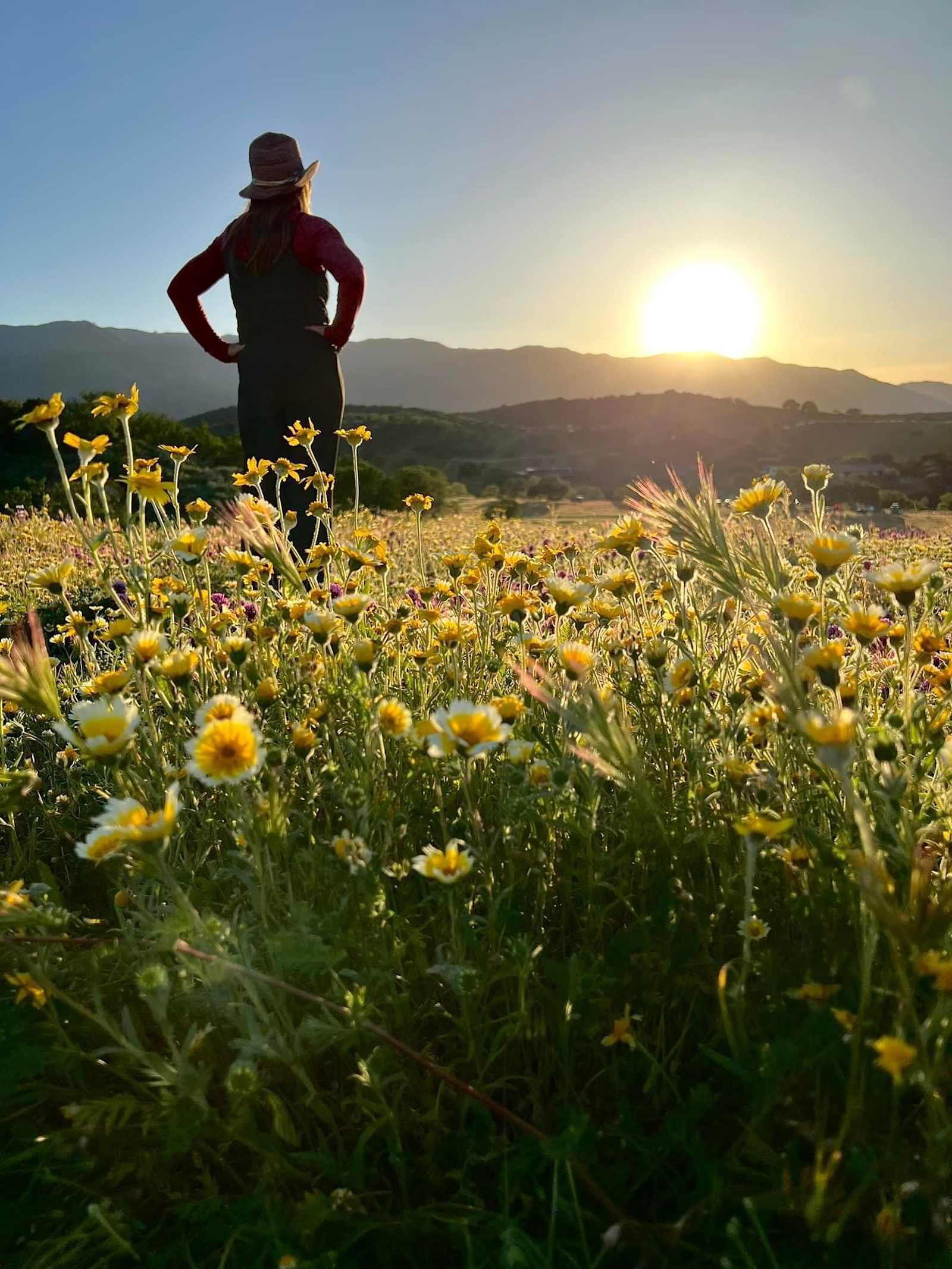 -G Ranch - New Cuyama, California - glamping.directory