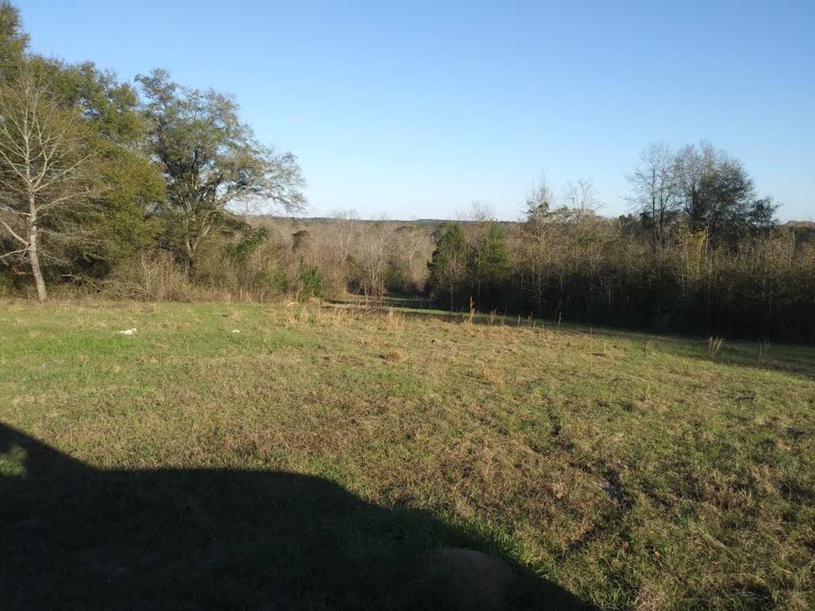 Murchison Farm's Primitive Camping - Pine Apple, Alabama - glamping.directory