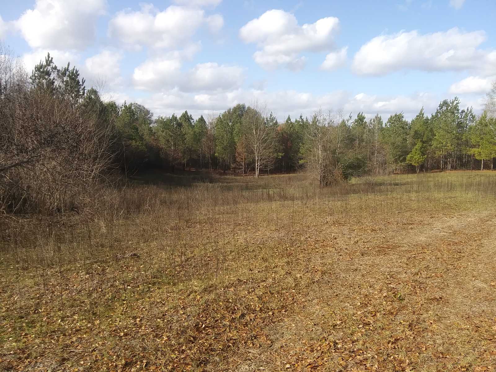 Murchison Farm's Primitive Camping - glamping.directory