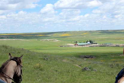 Room Rental on a Dude Ranch Perfect for Families in Northern Colorado - New Raymer, Colorado - glamping.directory