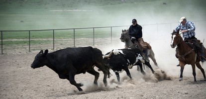 Room Rental on a Dude Ranch Perfect for Families in Northern Colorado - New Raymer, Colorado - glamping.directory