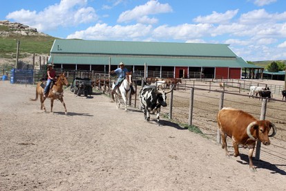 Room Rental on a Dude Ranch Perfect for Families in Northern Colorado - glamping.directory