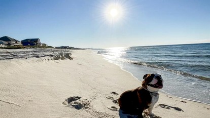 Beach Front Cottage with Private Heated Pool in Alabama - Gulf Shores, Alabama - glamping.directory