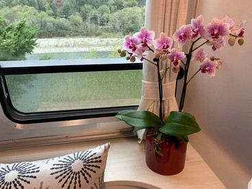 Fantastic Brookings Rental for Scenic Places in Oregon - Brookings, Oregon - glamping.directory