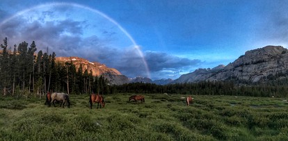 Rustic Log Cabins in Wind River Mountain Range, Wyoming - Lander, Wyoming - glamping.directory