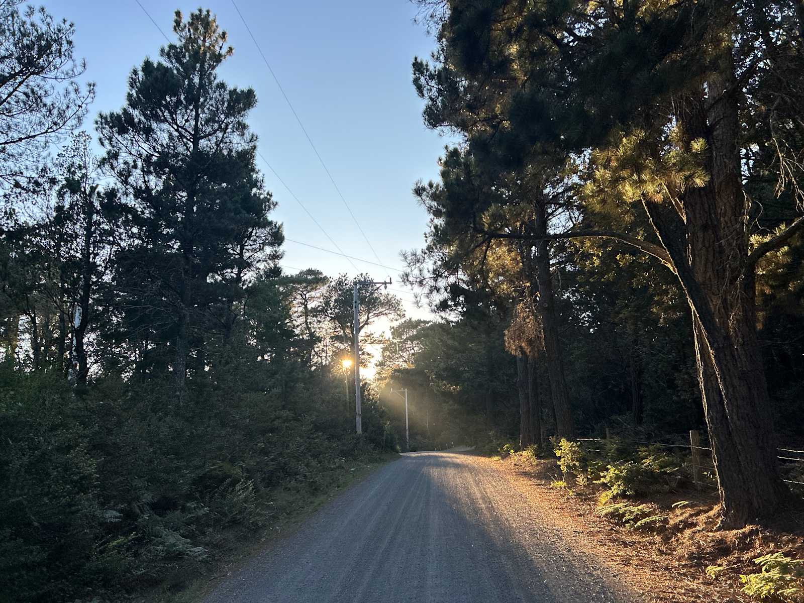 Illumisea Farm - Point Arena, California - glamping.directory