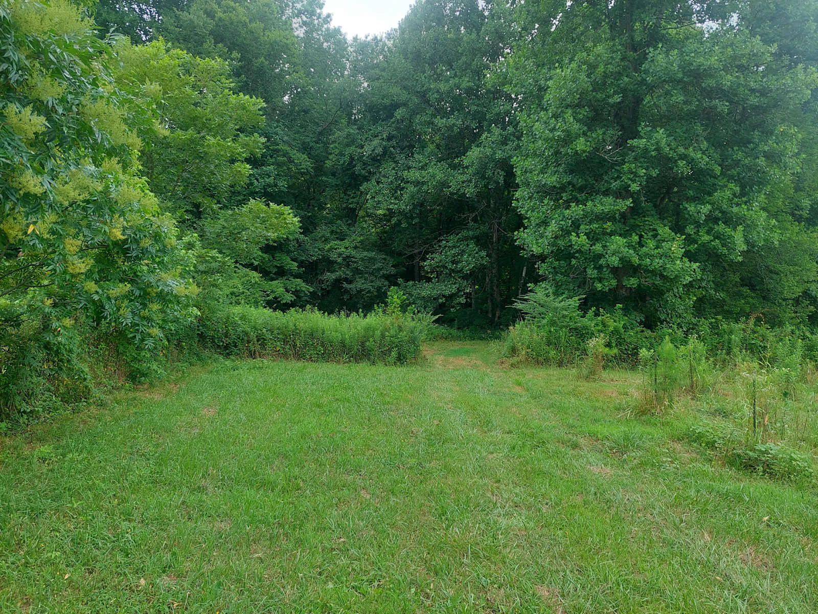 Oak Leaf Hills - Waterloo, Alabama - glamping.directory