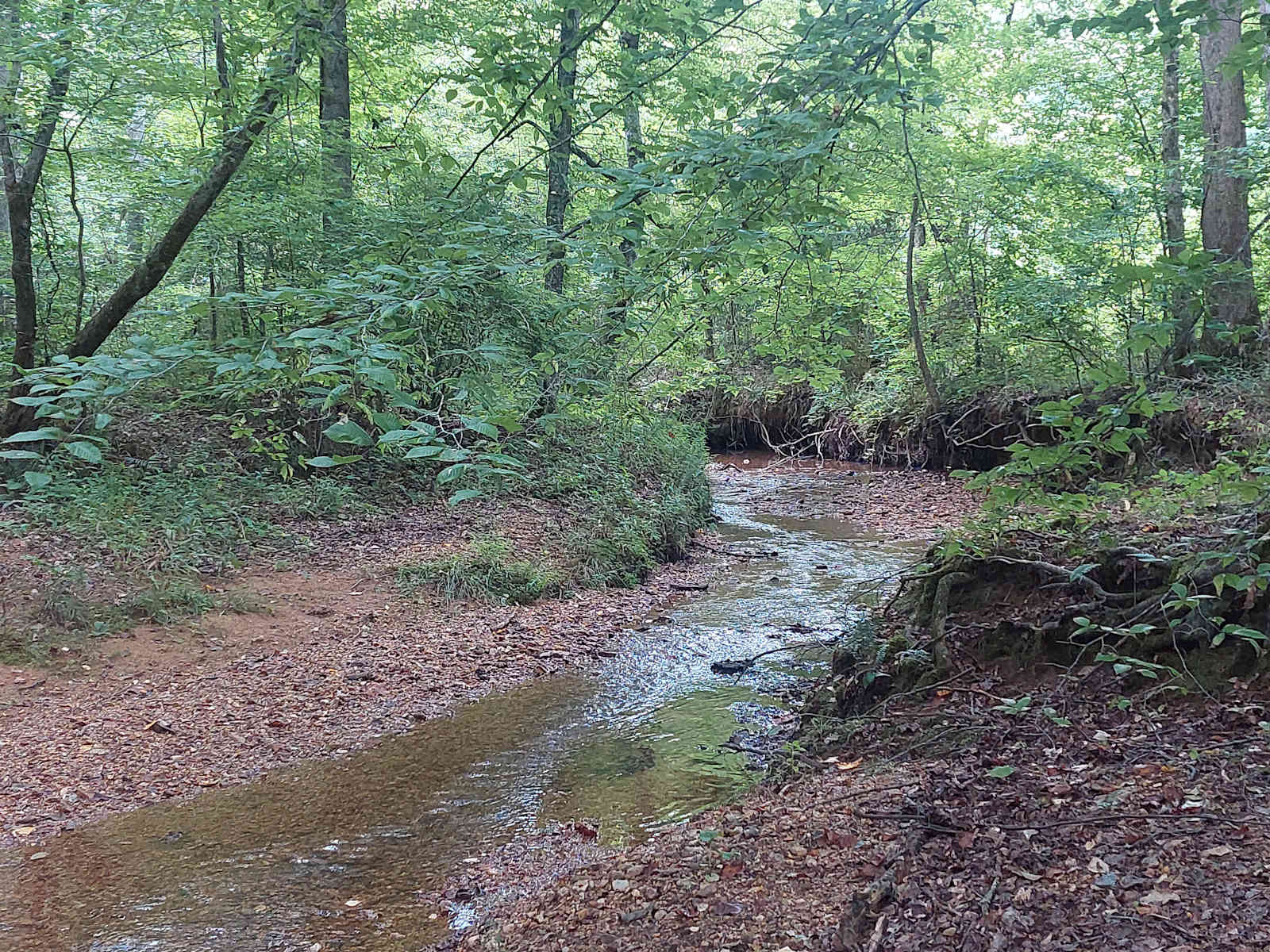 Oak Leaf Hills - Waterloo, Alabama - glamping.directory