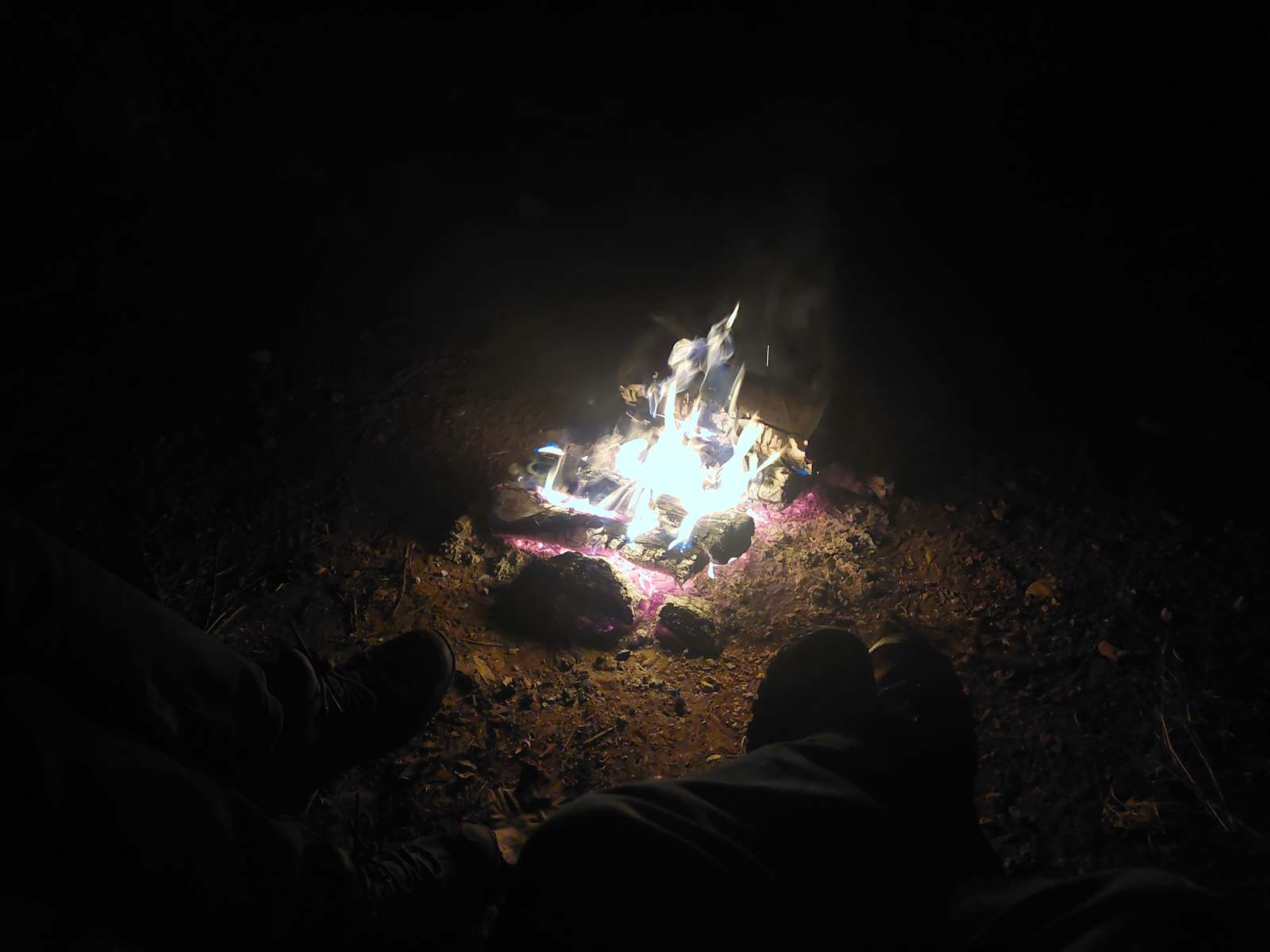 Oak Leaf Hills - Waterloo, Alabama - glamping.directory