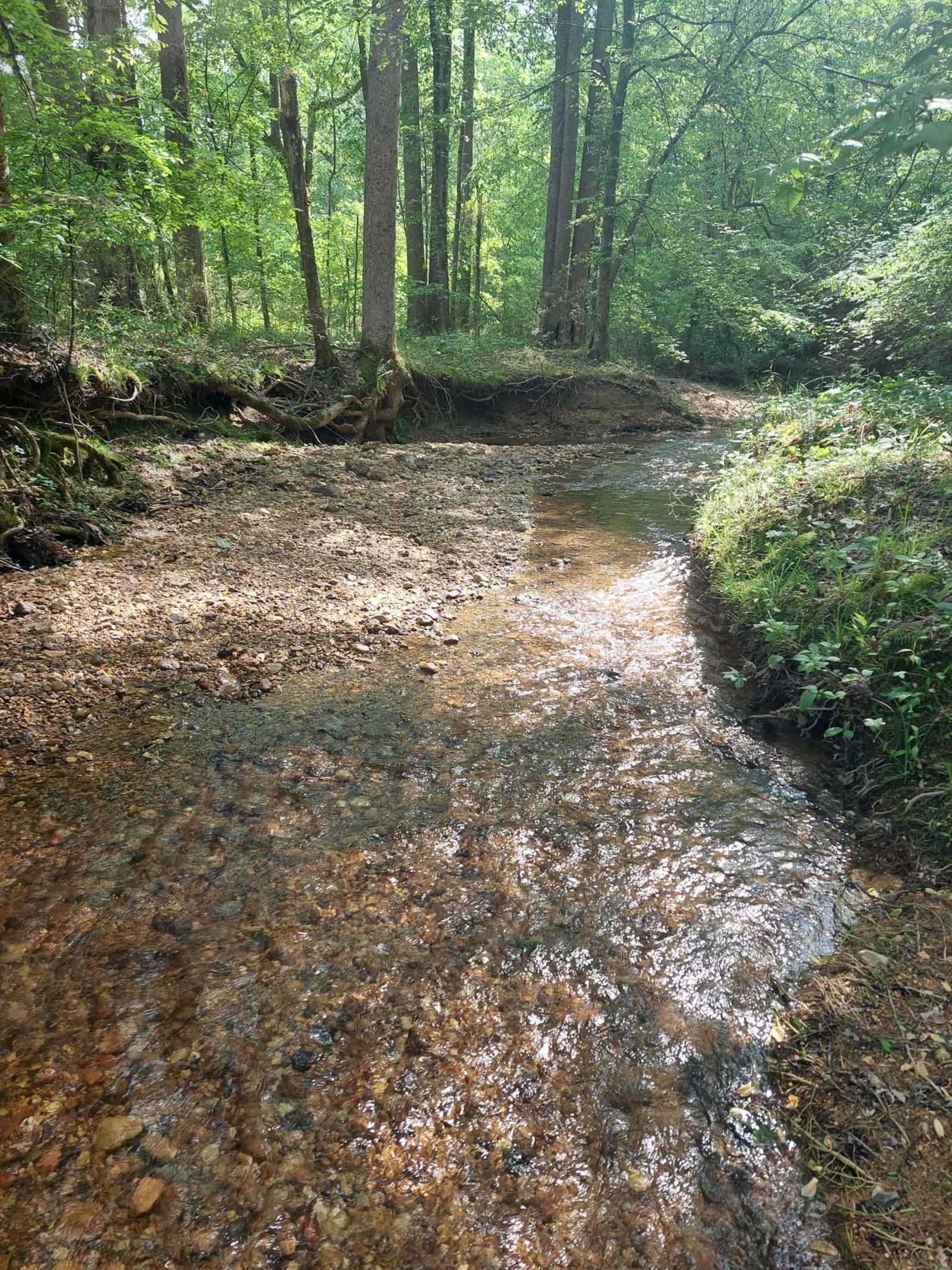 Oak Leaf Hills - glamping.directory