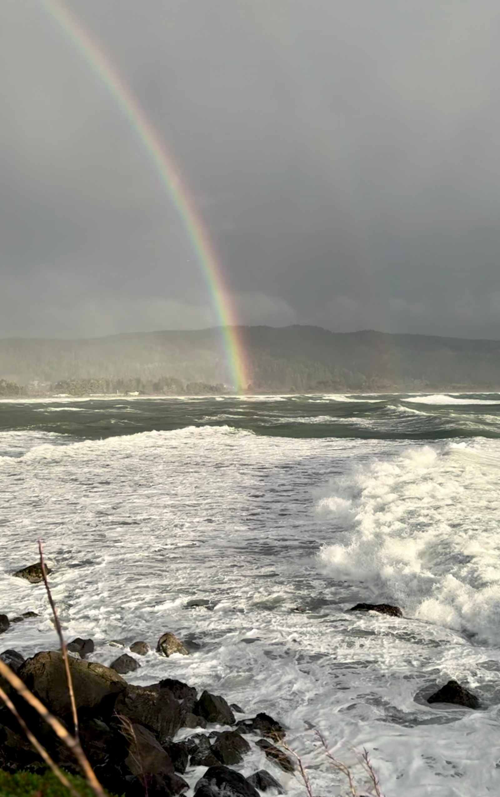 Redwood Harbor Village - Crescent City, California - glamping.directory