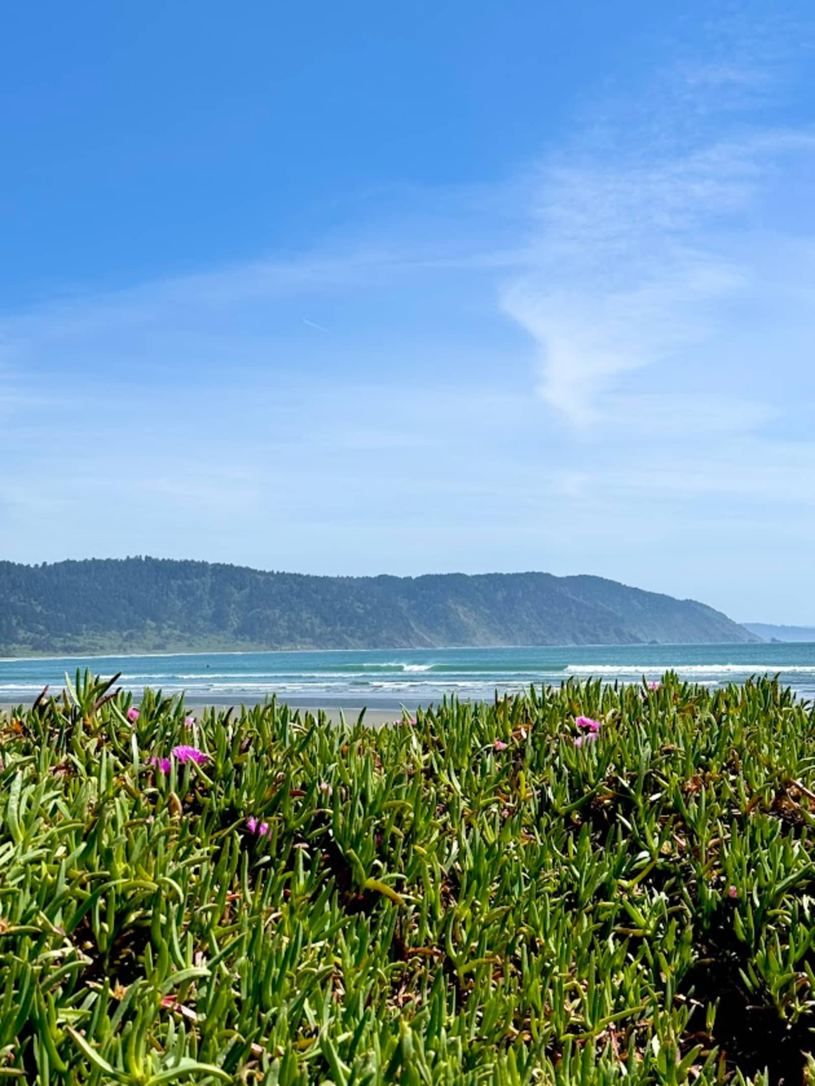 Redwood Harbor Village - Crescent City, California - glamping.directory
