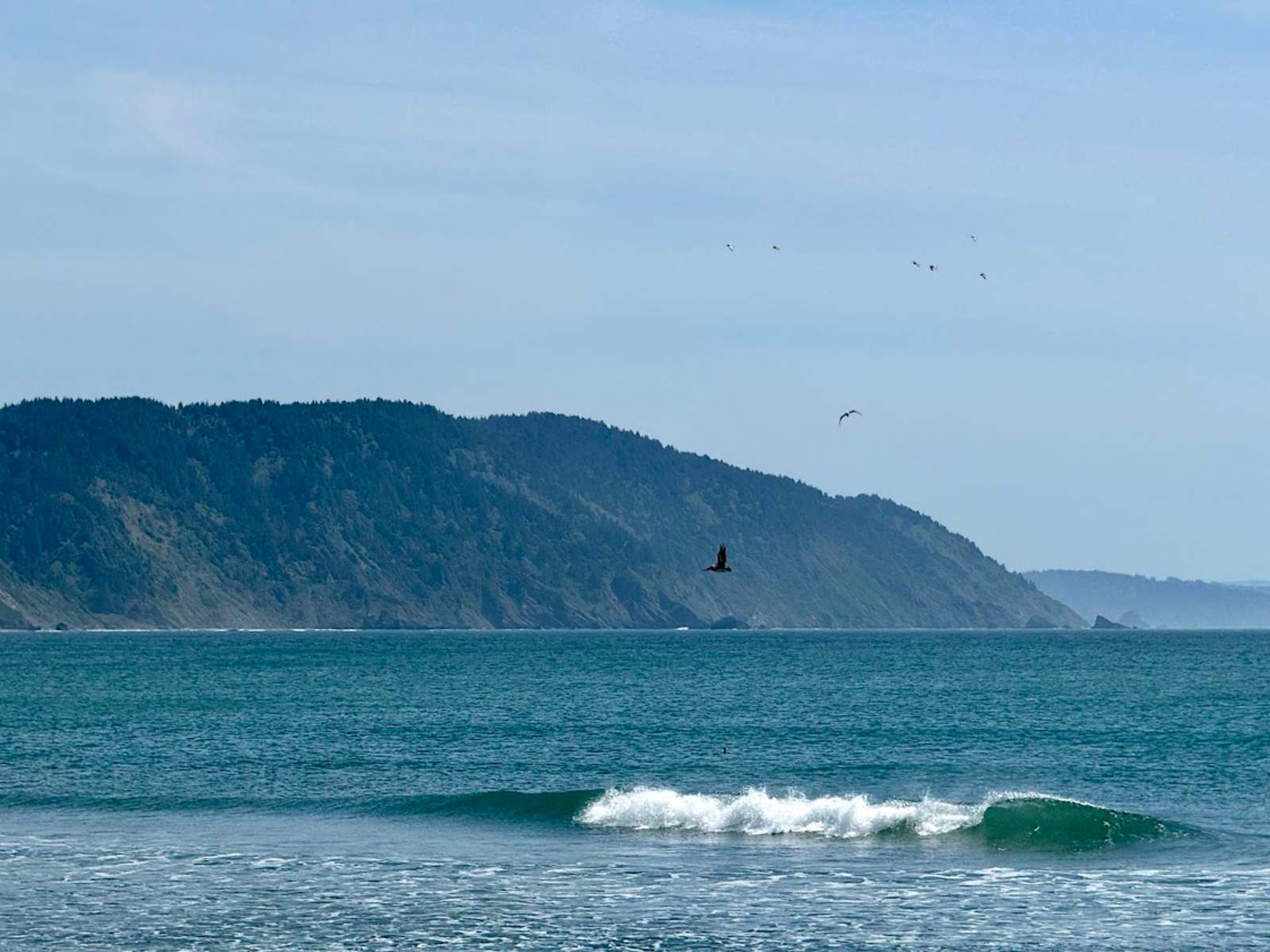 Redwood Harbor Village - Crescent City, California - glamping.directory
