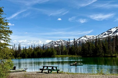 Secluded, Pet Friendly Cabin near Denali National Park with Mountain and Lake Views, Perfect for an Alaskan Escape - Cantwell, Alaska - glamping.directory