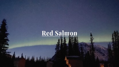 Secluded, Pet Friendly Cabin near Denali National Park with Mountain and Lake Views, Perfect for an Alaskan Escape - Cantwell, Alaska - glamping.directory