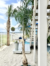 Impressive Oceanfront Beach House with Stunning Vistas in Navarre, Florida - Navarre, Florida - glamping.directory