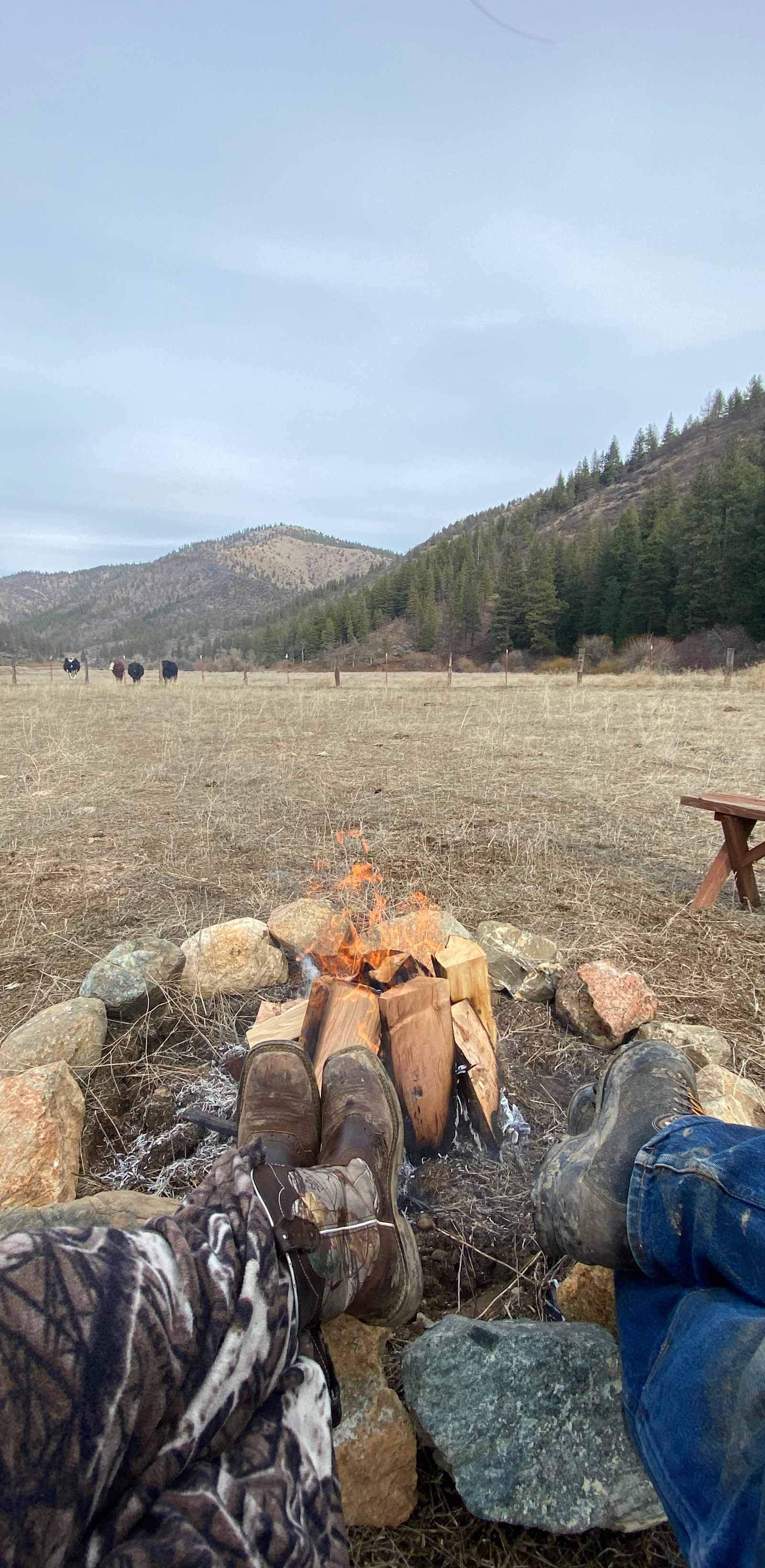 Cramer Ranch LLC - Fort Jones, California - glamping.directory
