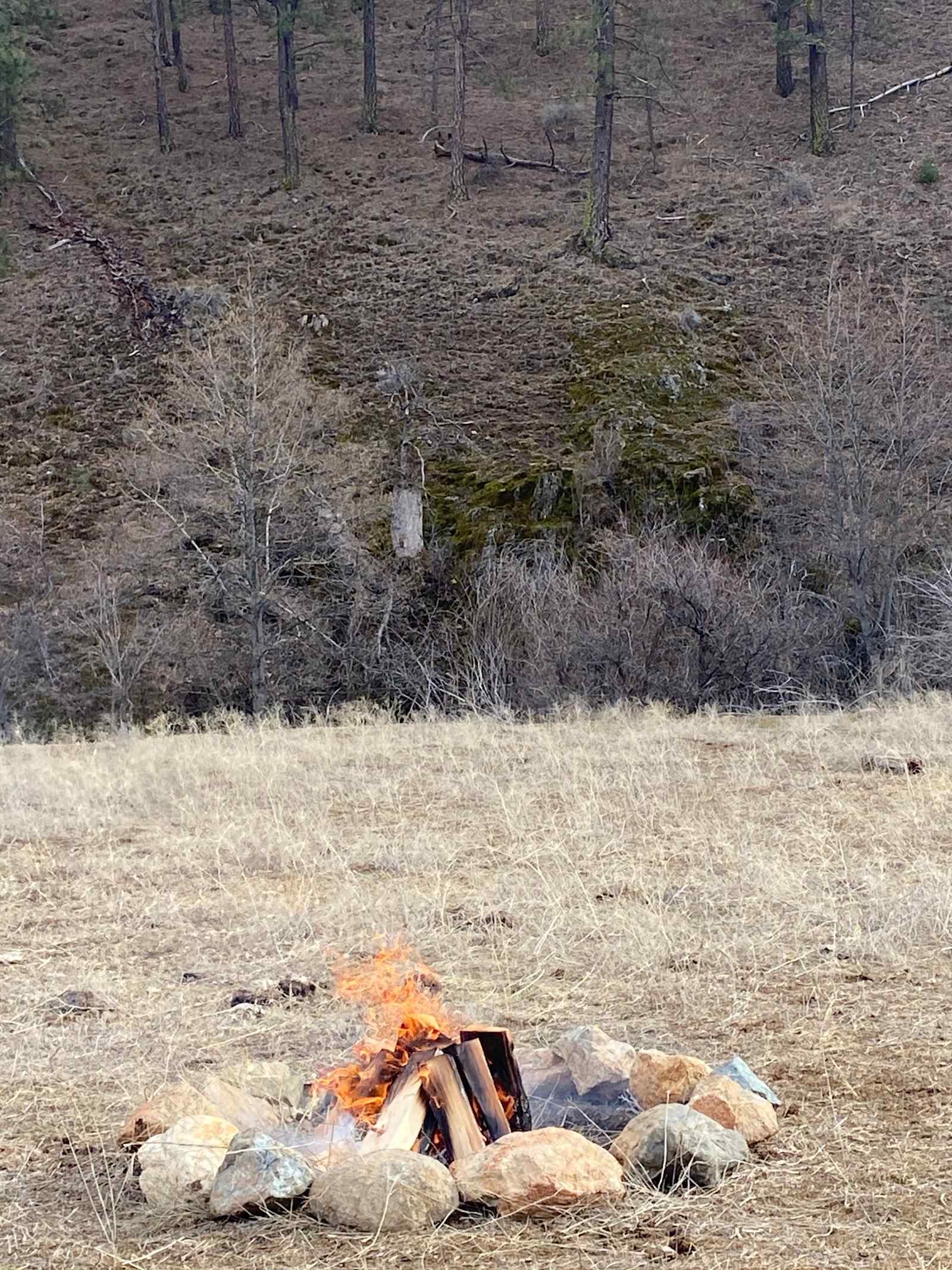 Cramer Ranch LLC - Fort Jones, California - glamping.directory