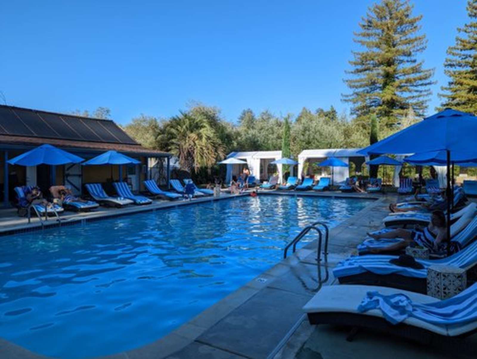Surrey Resort Russian River - Guerneville, California - glamping.directory