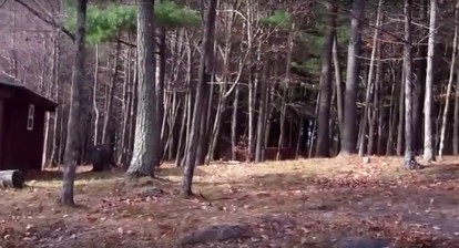 Pet-Friendly Rustic Cabin on Grafton Mountain, New York - Johnsonville, New York - glamping.directory