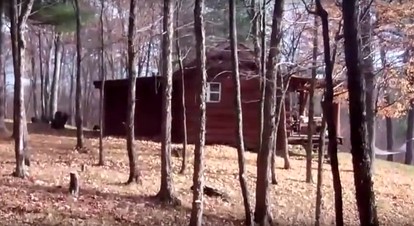 Pet-Friendly Rustic Cabin on Grafton Mountain, New York - Johnsonville, New York - glamping.directory