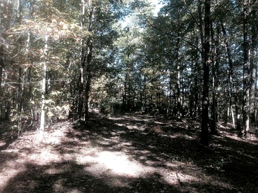 Quiet Vacation Retreat for Groups near Hanging Rock, West Virginia - Yellow Spring, West Virginia - glamping.directory