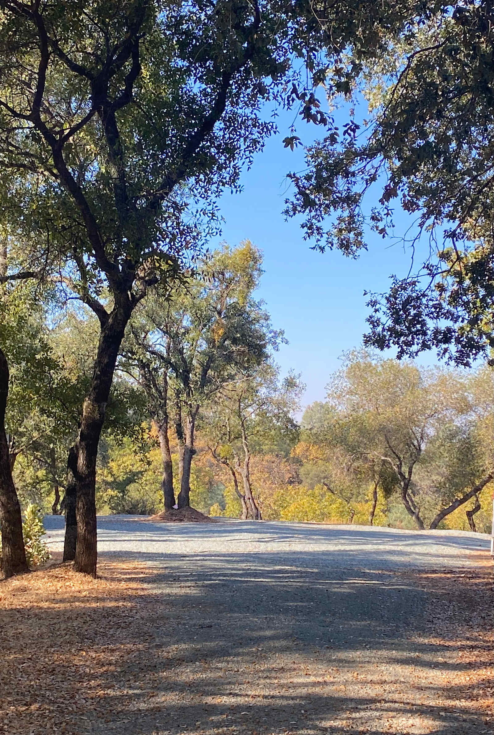 gold country camping - Jackson, California - glamping.directory