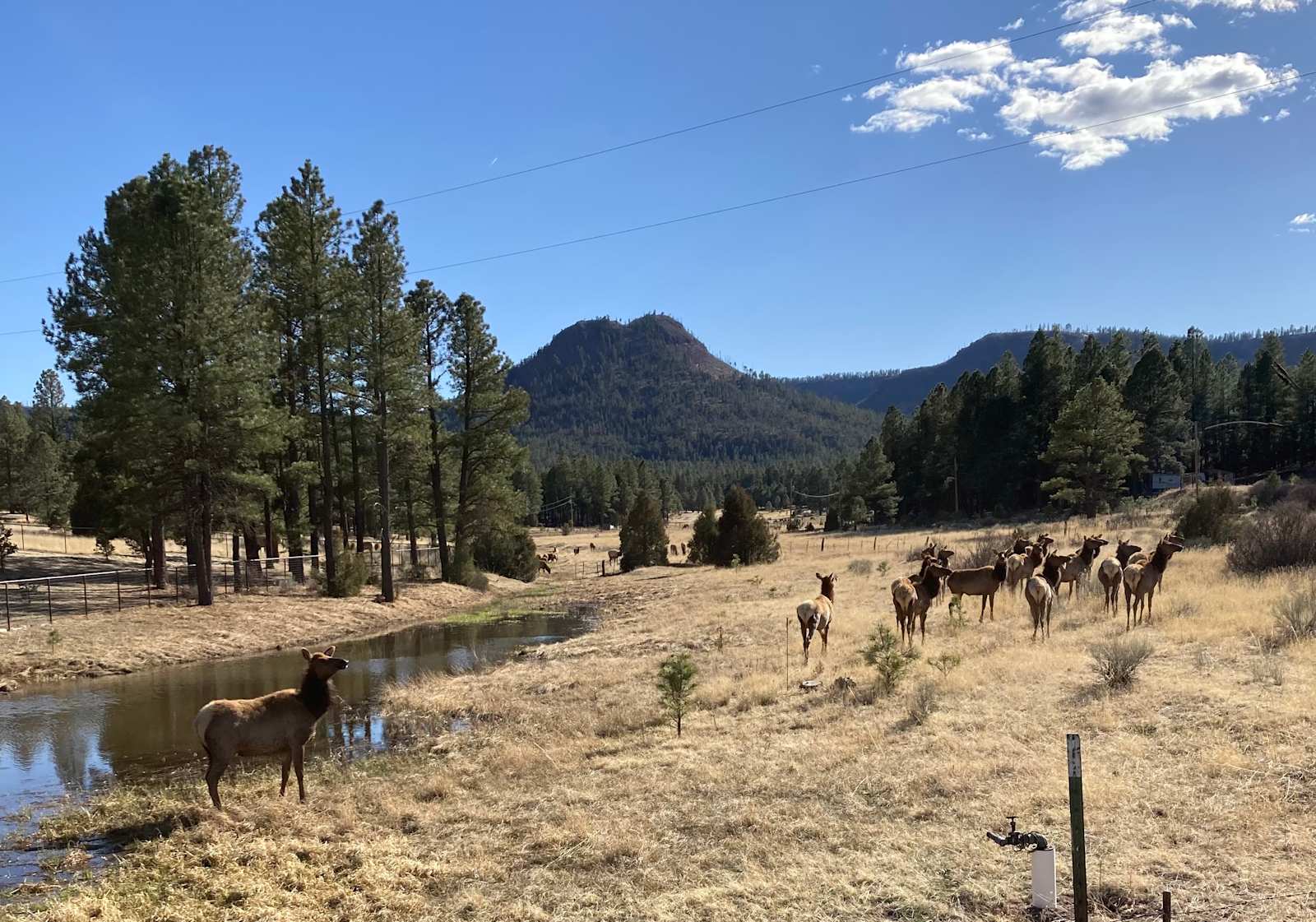 Ghost Owl Ranch - Nutrioso, Arizona - glamping.directory