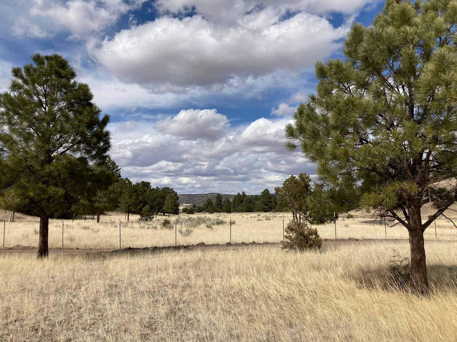 Ghost Owl Ranch - glamping.directory