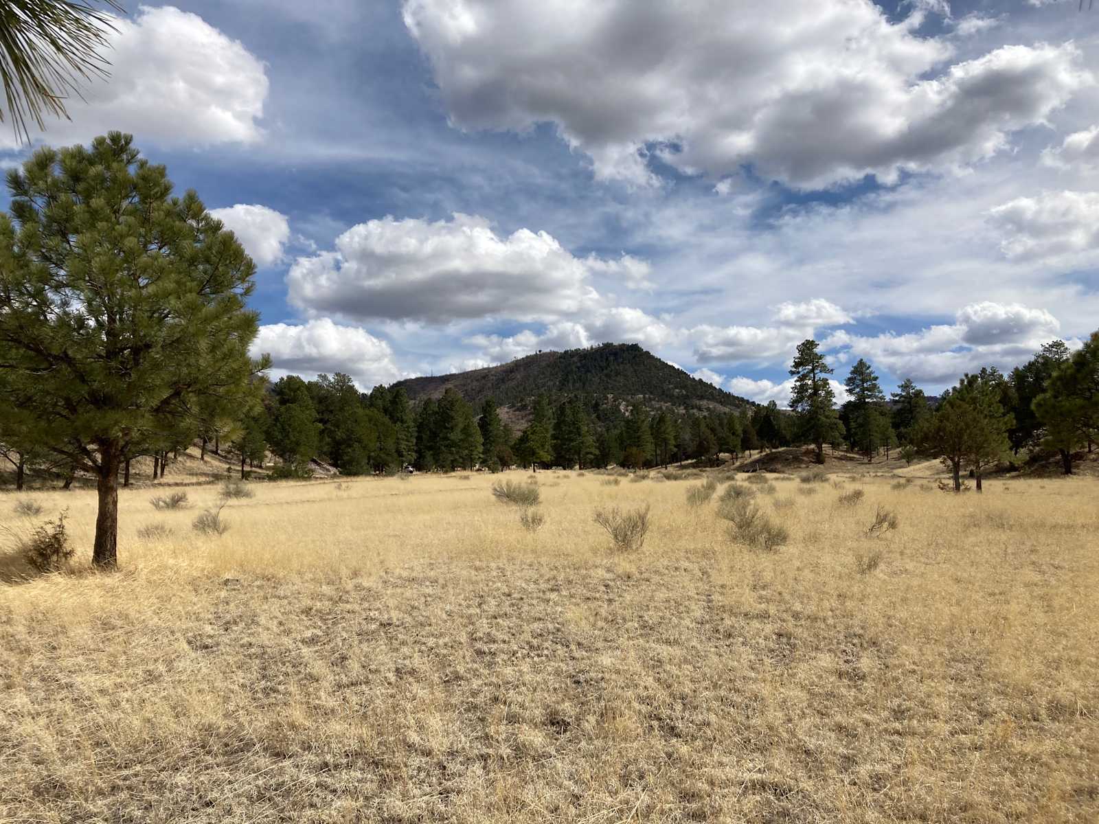 Ghost Owl Ranch - Nutrioso, Arizona - glamping.directory