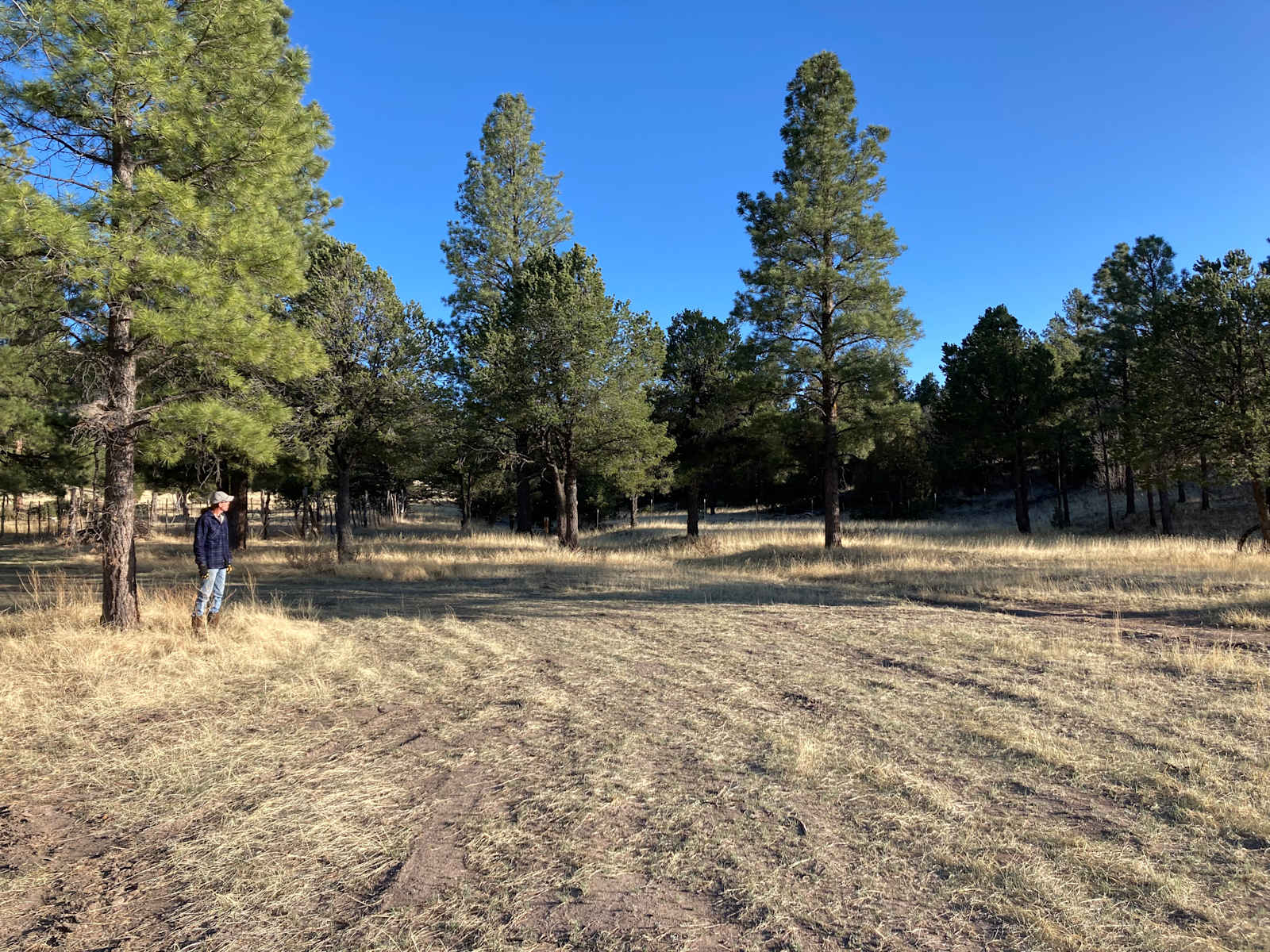 Ghost Owl Ranch - Nutrioso, Arizona - glamping.directory