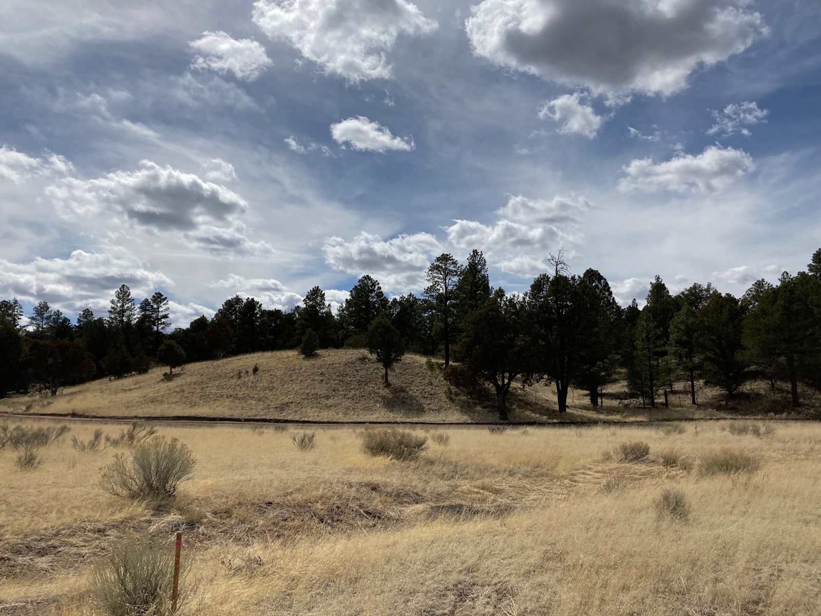 Ghost Owl Ranch - Nutrioso, Arizona - glamping.directory