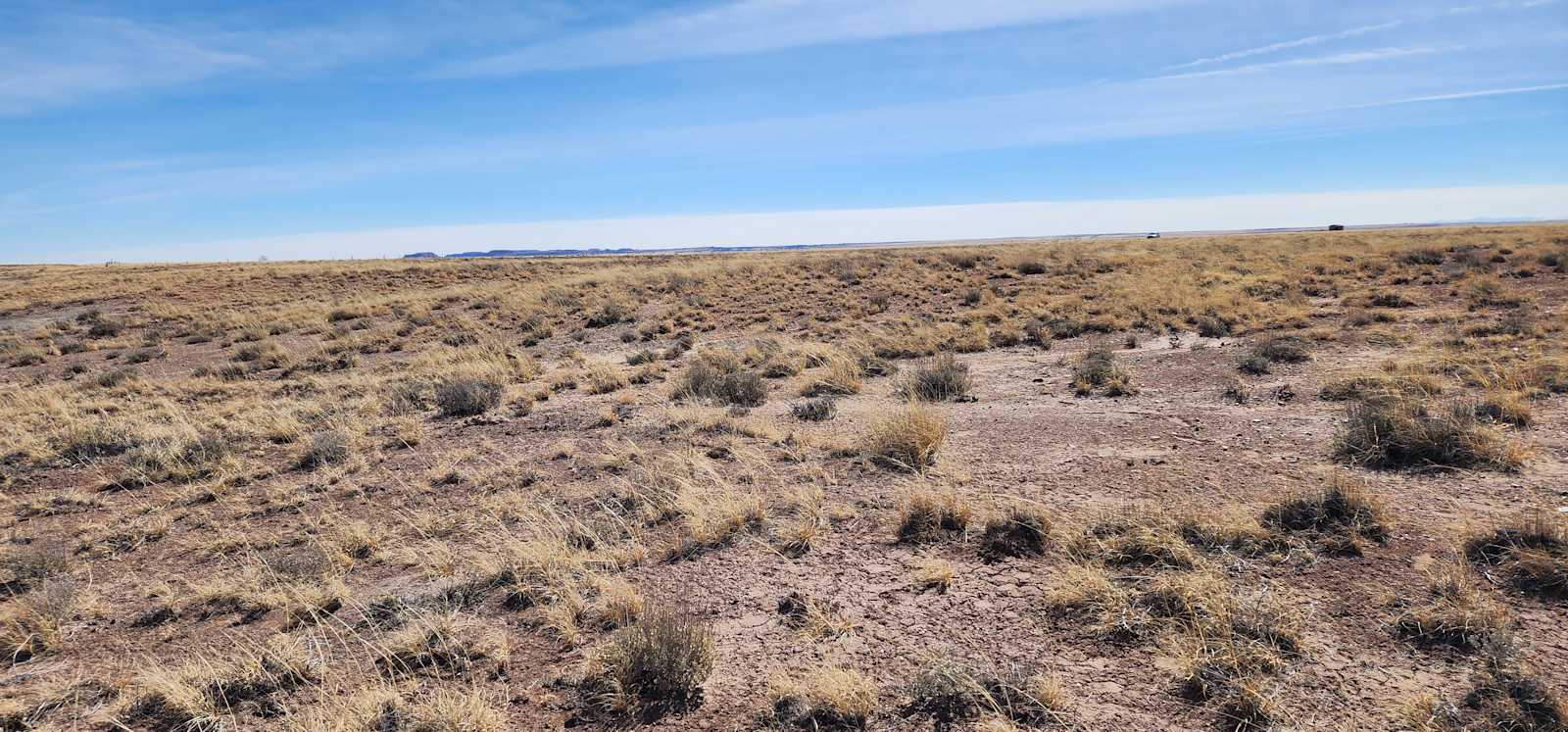 The Campsites at Paraíso Dorado - Sun Valley, Arizona - glamping.directory