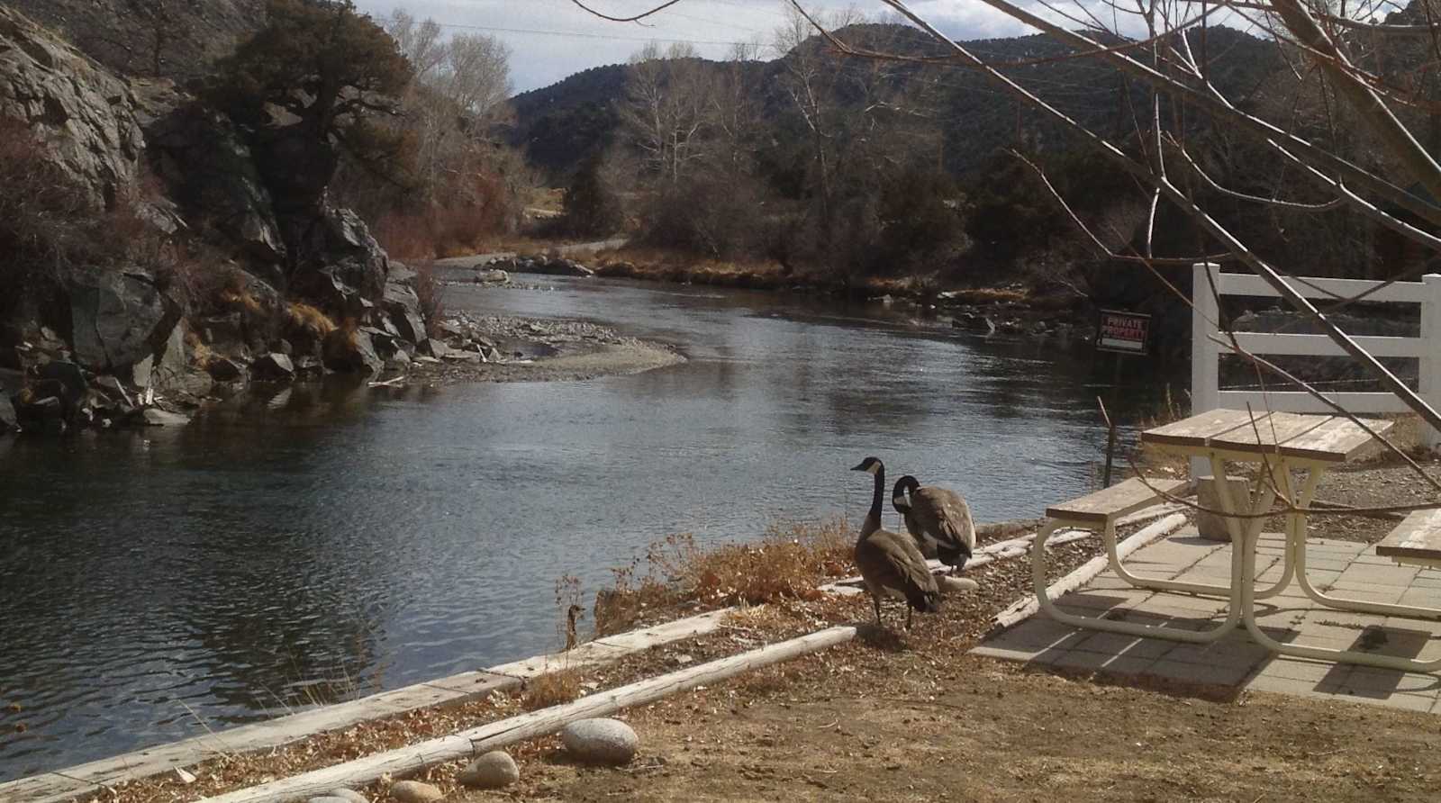 Four Seasons RV Park - Salida, Colorado - glamping.directory